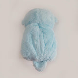 Teddy bear with light